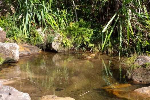 One small lake with crystal clear water