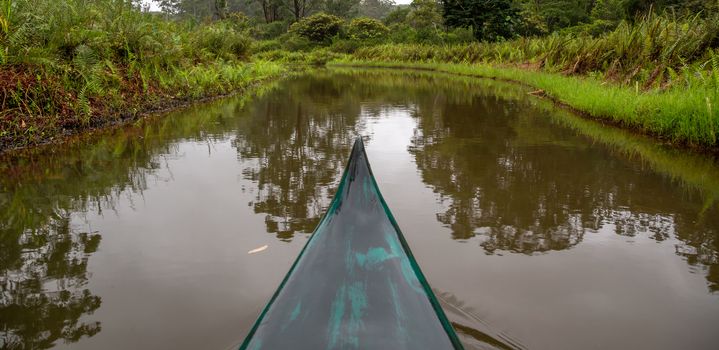 The boat trip on a river through the middle of the jungle