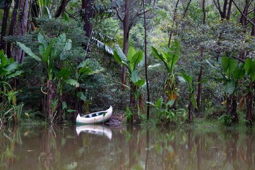 One small boat on the shore of a lake in front of a picturesque rainforest