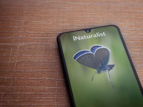 Lod, Israel - July 8, 2020: iNaturalist app launch screen with logo on the display of a black mobile smartphone on wooden background. Top view flat lay with copy space.