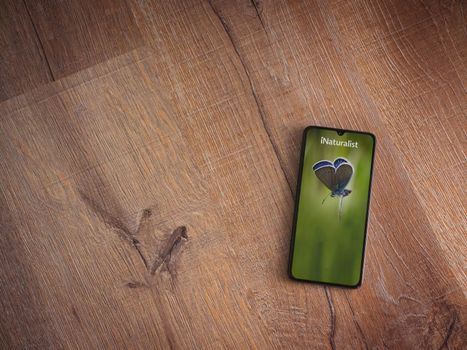 Lod, Israel - July 8, 2020: iNaturalist app launch screen with logo on the display of a black mobile smartphone on wooden background. Top view flat lay with copy space.