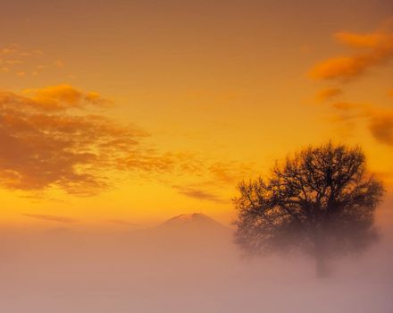 Beautiful pictures of Austria