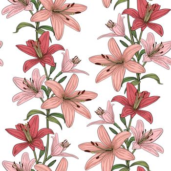 Seamless vector pattern with colorful lilies flower pink and red lily on white background. Blooming floral background for wedding invitations and greeting cards. Flower of Lilium candidum Madonna lily