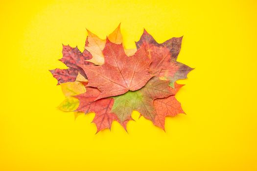 Layout of red and orange autumn maple leaves and garden apples on a bright yellow background. Flat lay