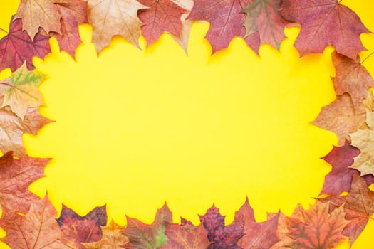 Frame made of red and orange autumn maple leaves on a bright yellow background. Layout. Flat lay