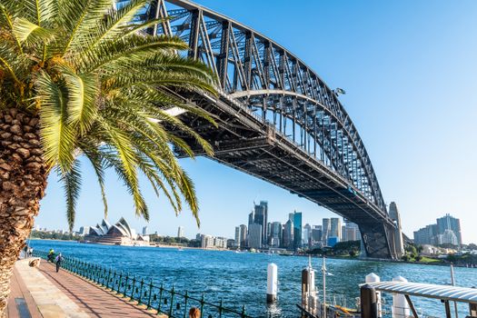 Harbour bridge and the Opera House in a sunny afternoon with a blue sky background