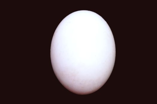 One fresh egg. Ingredient concept of cooking isolated black background.