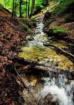 landscape nature background mountain stream in a deciduous forest