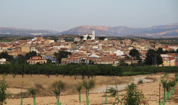 Panoramic view of the small Ontur village in spain surrounded by plantations