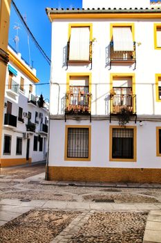 Beautiful white flower in Narrow street in Cordoba city, Spain.