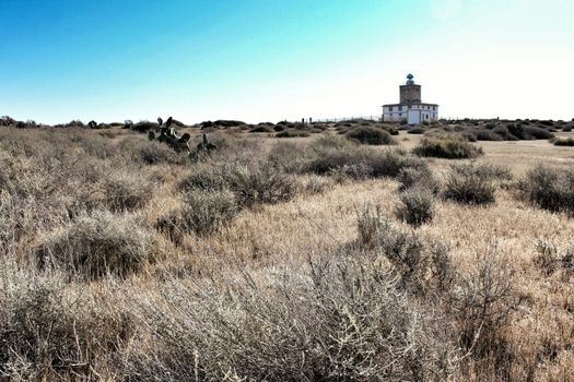 Lighthouse of Tabarca Island, Spain, surrounded by vegetation under blue sky in summer