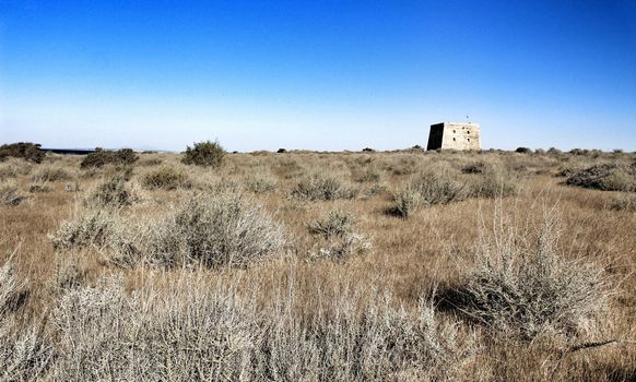 Fortress Castle between dry vegetation on Tabarca island, Alicante, Spain. Sunny day and blue sky.