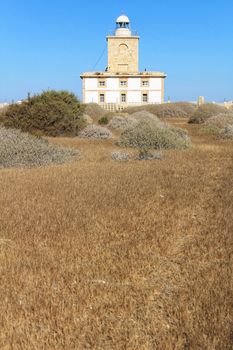 Lighthouse of Tabarca Island, Spain, surrounded by vegetation under blue sky in summer