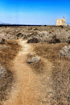 Lighthouse of Tabarca Island, Spain, surrounded by vegetation under blue sky in summer