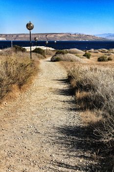 Trails and vegetation of Tabarca island under blue sky in summer