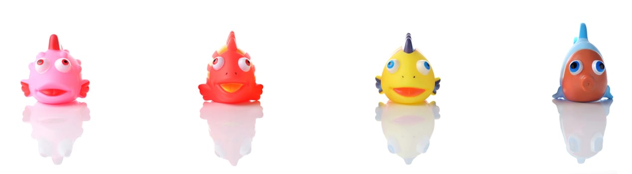 colorful rubber fish bath toy set on white background, concept of social distancing flu prevention