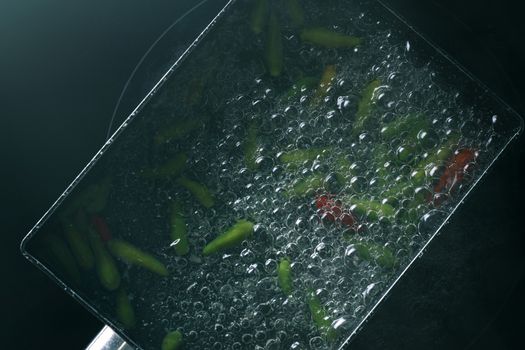 boiling water with chili pepper in pan on electric stove in kitchen, hot water with bubbles and steam