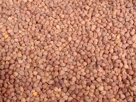 tasty and healthy Chickpea stock on shop