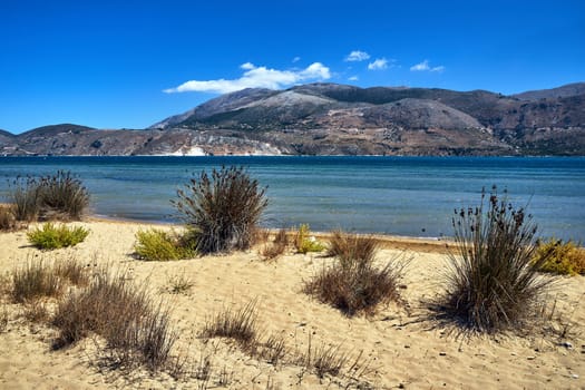 The grass on the sandy shore of Paliki Bay on the island of Kefalonia in Greece