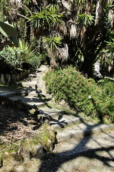 Leafy and green gardens with large trees at the Botanical Garden of Lisbon