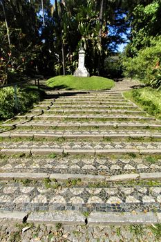 Leafy and green gardens with large trees at the Botanical Garden of Lisbon