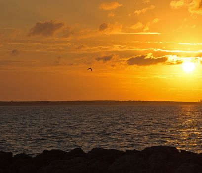 Beautiful pictures of  Bahamas