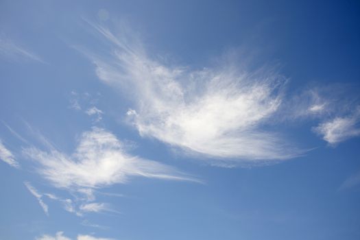 Miracle of nature made bird shaped cloud in bright blue sky.