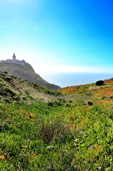 Beautiful Carpobrotus Edulis meadow in the mountains next to Cabo da Roca lighthouse in Portugal