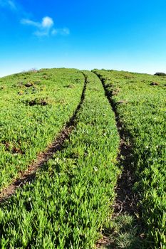 Beautiful valley with car tracks losing in the horizon under blue sky in portugal