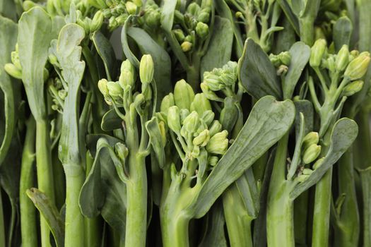 Fresh green broccolini on whole background, close up