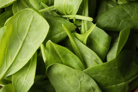 Fresh spinach leaves on whole background, close up