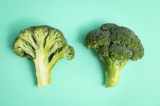 Two fresh green broccoli on mint background