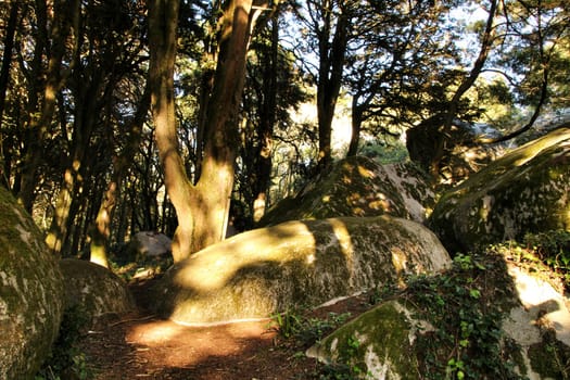 Beautiful leafy forest with colossal rock formations and majestic trees with soft sun rays in Sintra Mountains in Lisbon, Portugal