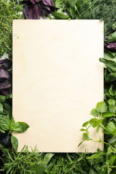 Blank clipboard on different herbs background, space for text