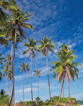 Beautiful pictures of  Bahamas