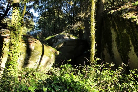 Beautiful leafy forest with colossal rock formations and majestic trees with soft sun rays in Sintra Mountains in Lisbon, Portugal