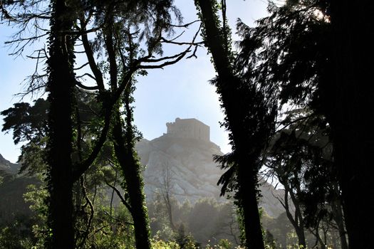 Beautiful leafy forest with colossal trees and soft sun rays in Sintra Mountains in Lisbon, Portugal. Capuchin convent in the background