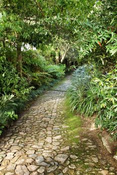 Path between with green vegetation in winter in Lisbon, Portugal