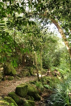 Path between with green vegetation in winter in Lisbon, Portugal