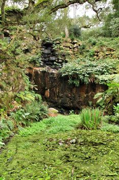 Leafy and green garden in Sintra, Lisbon