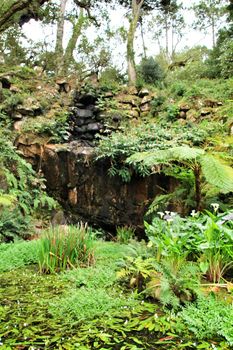 Leafy and green garden in Sintra, Lisbon