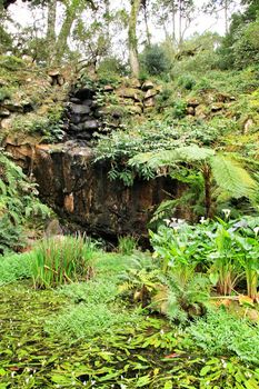 Leafy and green garden in Sintra, Lisbon