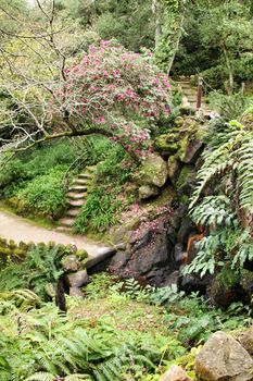 Path between with green vegetation in winter in Lisbon, Portugal