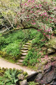 Stone steps in the lush garden in Lisbon