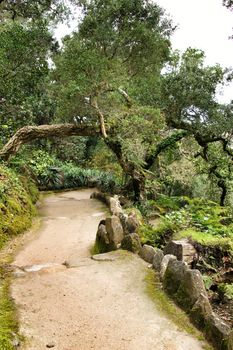 Path between with green vegetation in winter in Lisbon, Portugal