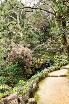 Path between with green vegetation in winter in Lisbon, Portugal