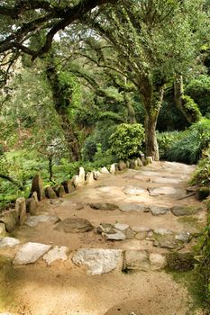 Path between with green vegetation in winter in Lisbon, Portugal