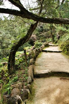 Path between with green vegetation in winter in Lisbon, Portugal