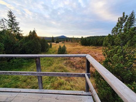 A view over tourist wooden path in peat bog near Kvilda village in Sumava National Park.