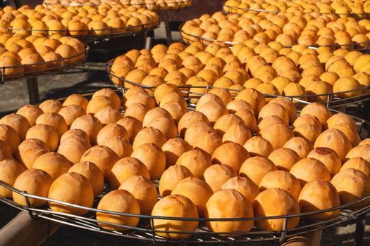Making process of sun exposuring drying peeled dried persimmon in a sieve, autumn preserved food concept.